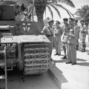 The_British_Army_in_Tunisia_1943_NA3693